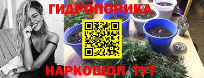 крисы Обнинск