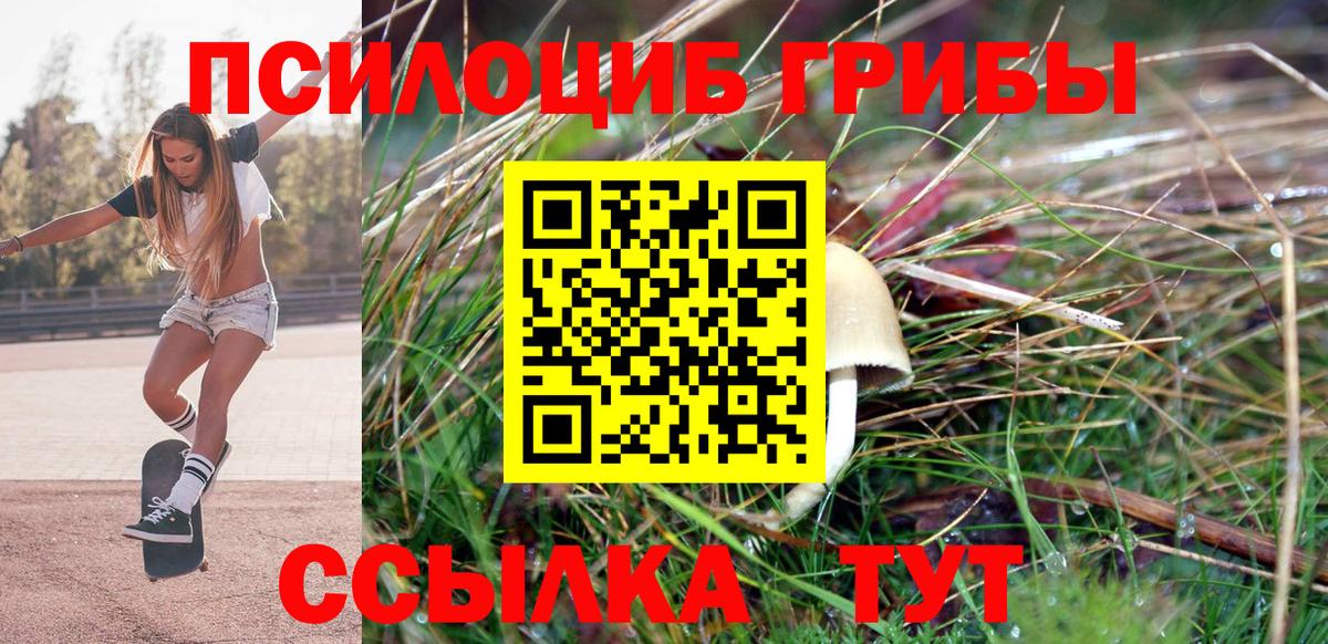 Псилоцибиновые грибы Psilocybine cubensis Тавда