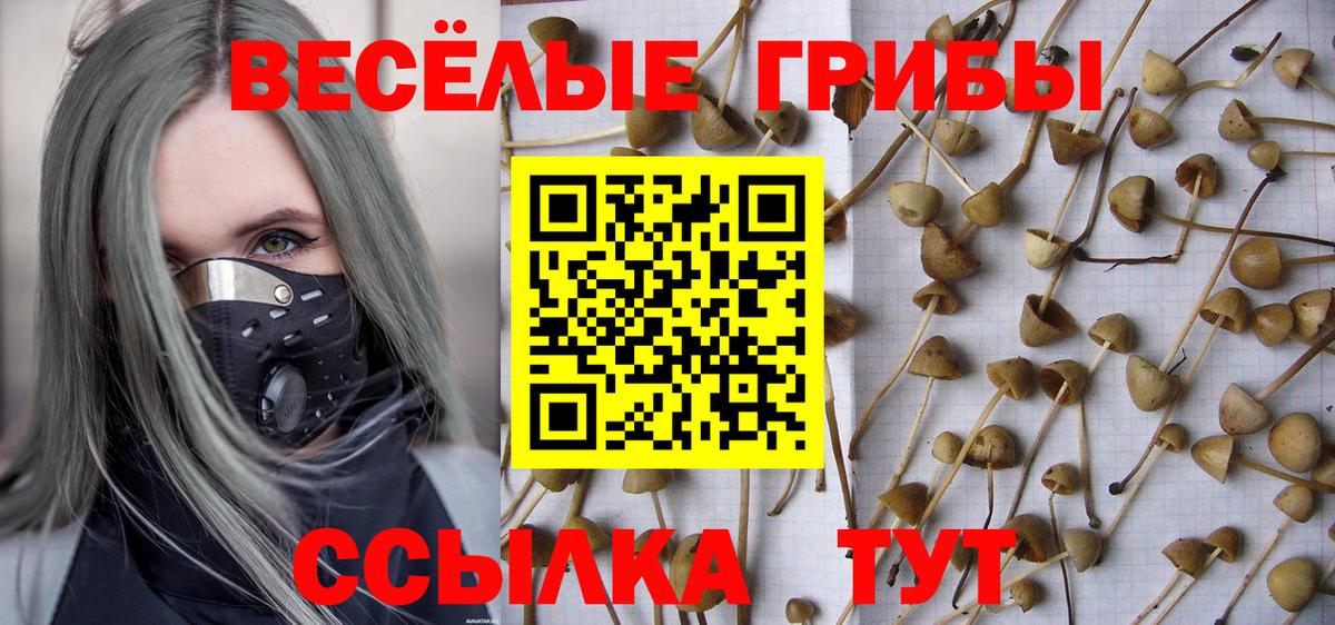 Псилоцибиновые грибы Magic Shrooms  цены   Тавда  Вход с VPN 